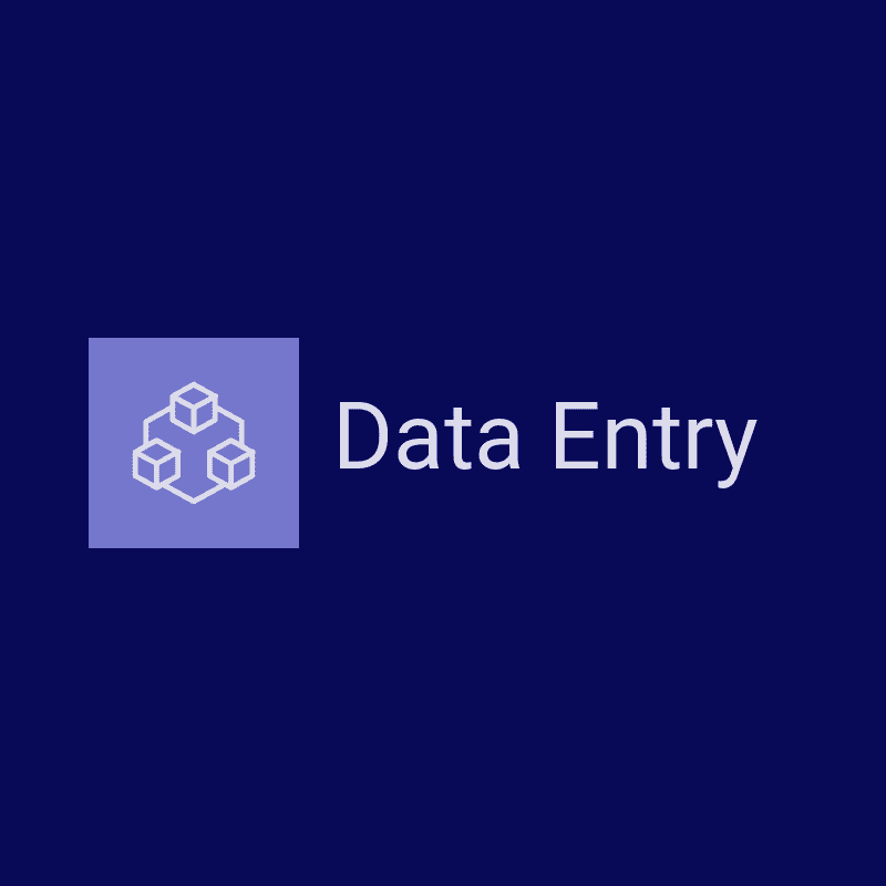 Data Entry Services for any type of request