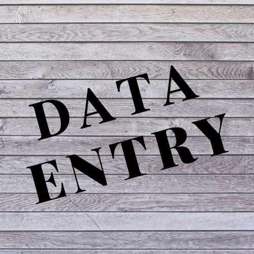 All Data entry work Complete in time.