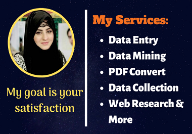 I will do any type data entry, data mining, web scr...