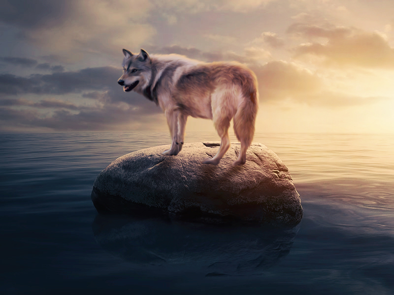 I can edit your photos and make it look awesome with ...