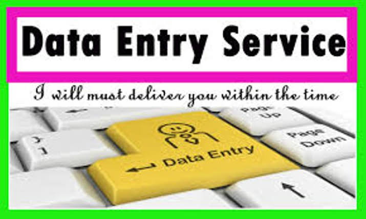 Data Entry/ SEO Work with professionally by educated ...