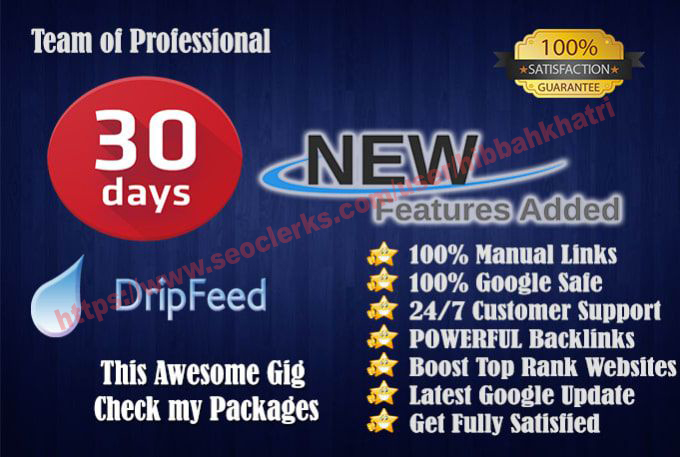 I will submit 30 days drip feed SEO link building ser...