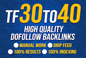 I will provide you 10 pbn backlinks from TF 30 to 40 ...