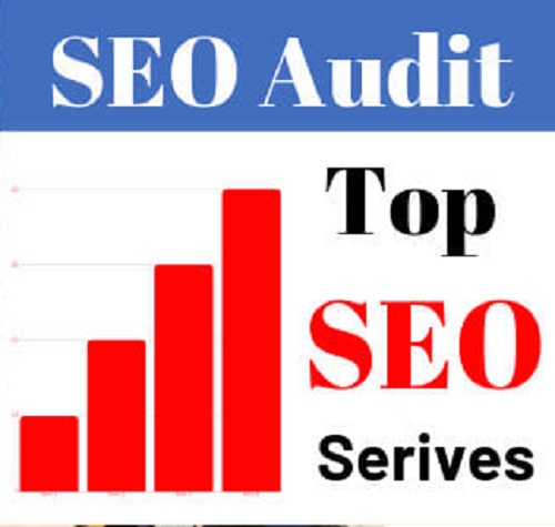 SEO audit and provide you an action plan for top rank...