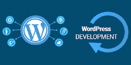 i will design or develop a professional wordpress web...