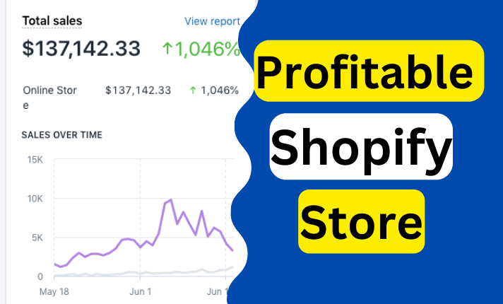 I will design stunning shopify website, shopify drop...