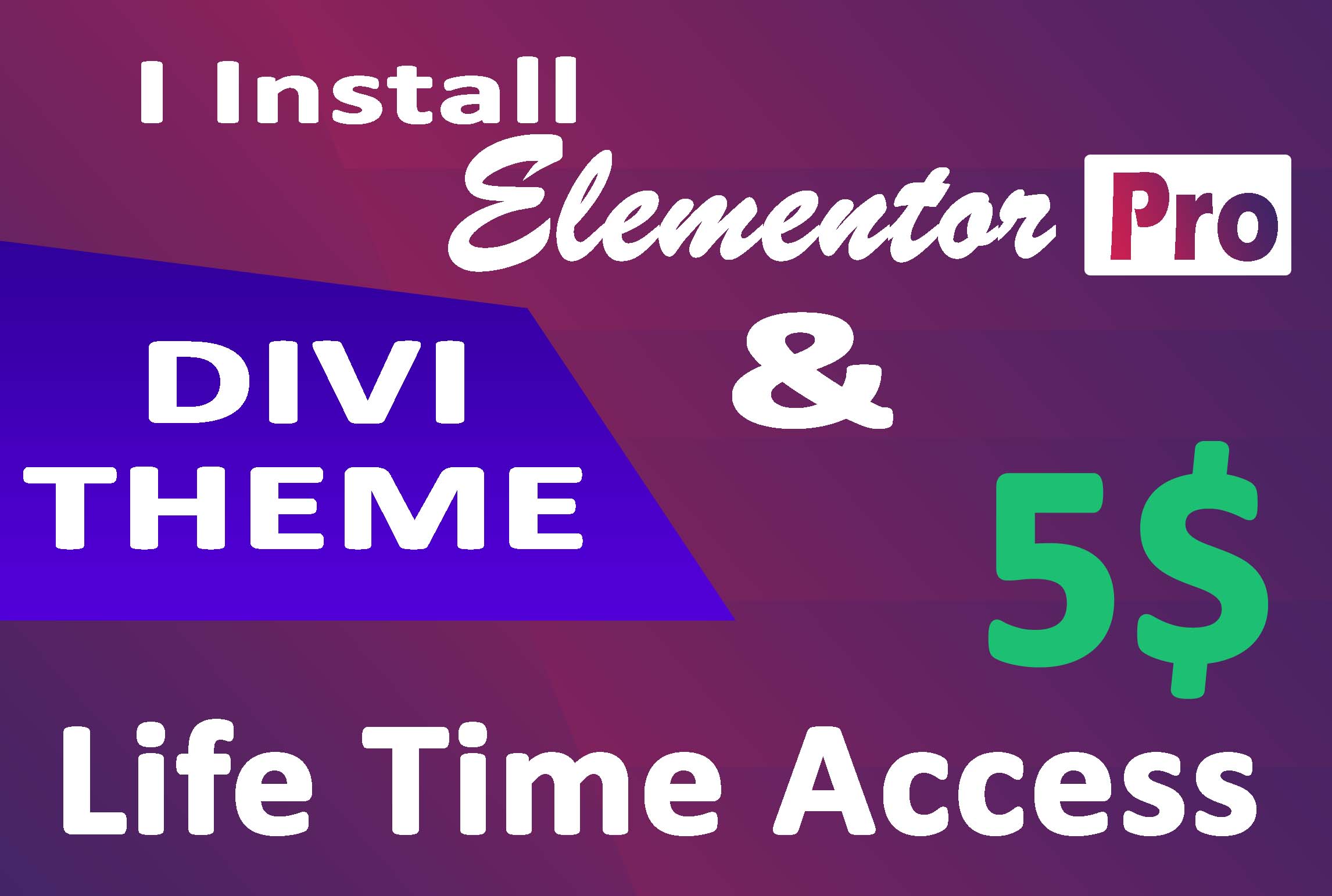 Install Elementor pro plugin on your website