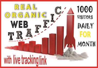 I will Expertly Provide 1000 High quality real organi...