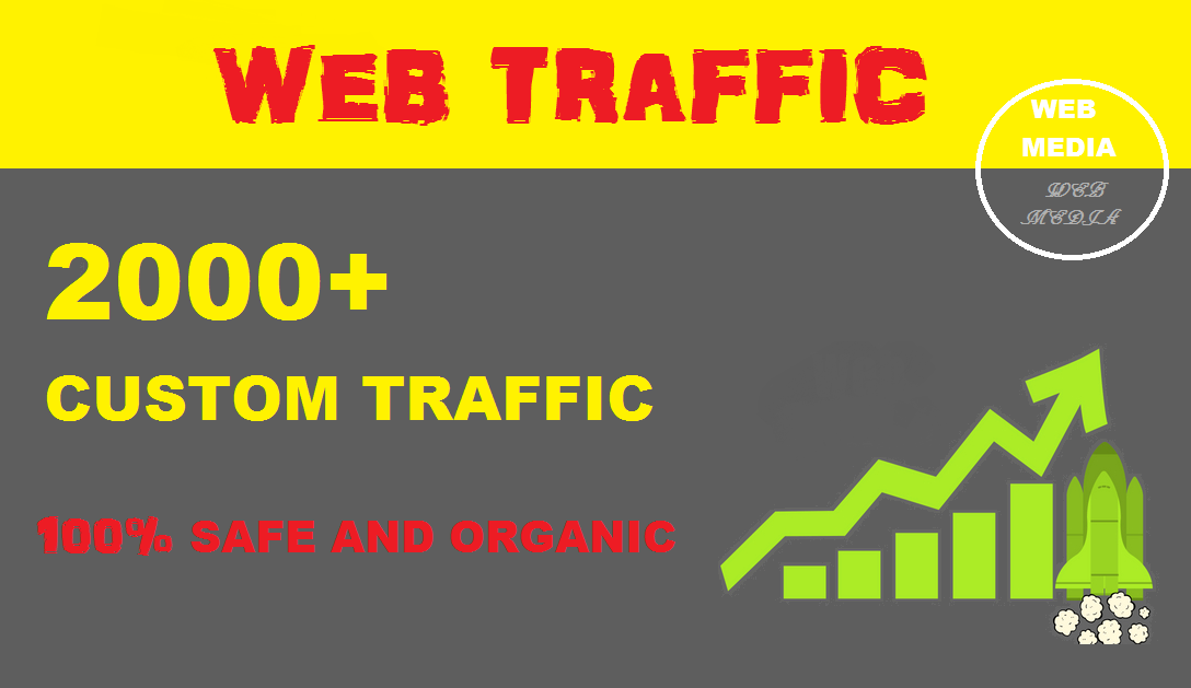 Provide 2000+ Custom Traffic on your Website