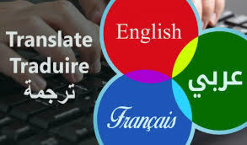 Professional translation of texts and articles Arabic...