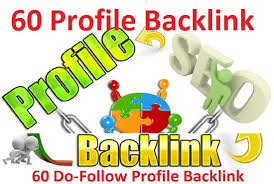I will do 100 profile backlink for your website high ...