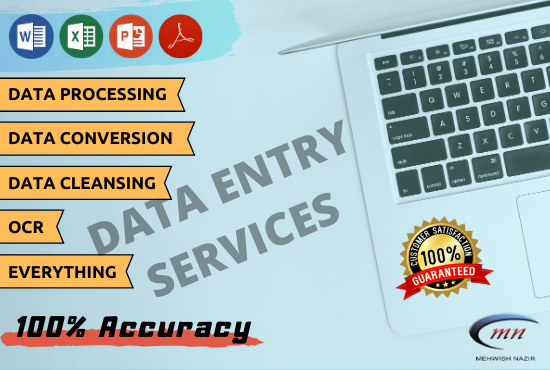 I will do any data entry or typing job