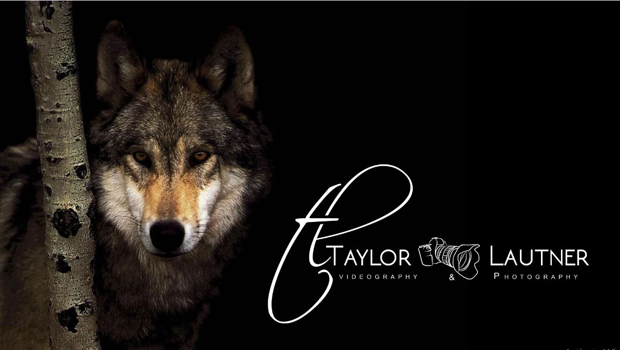 I will design addictive photography logo or watermark...