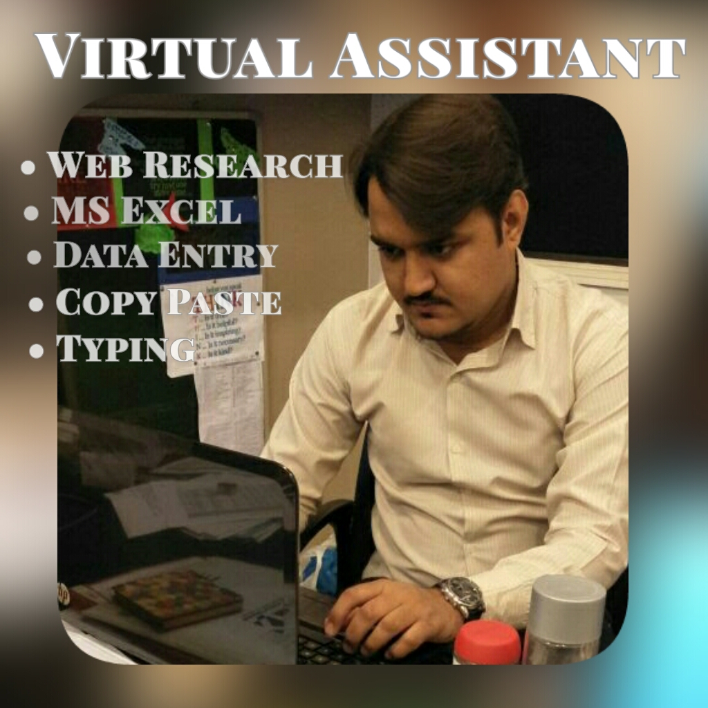 I am your virtual assistant for data entry, data min...