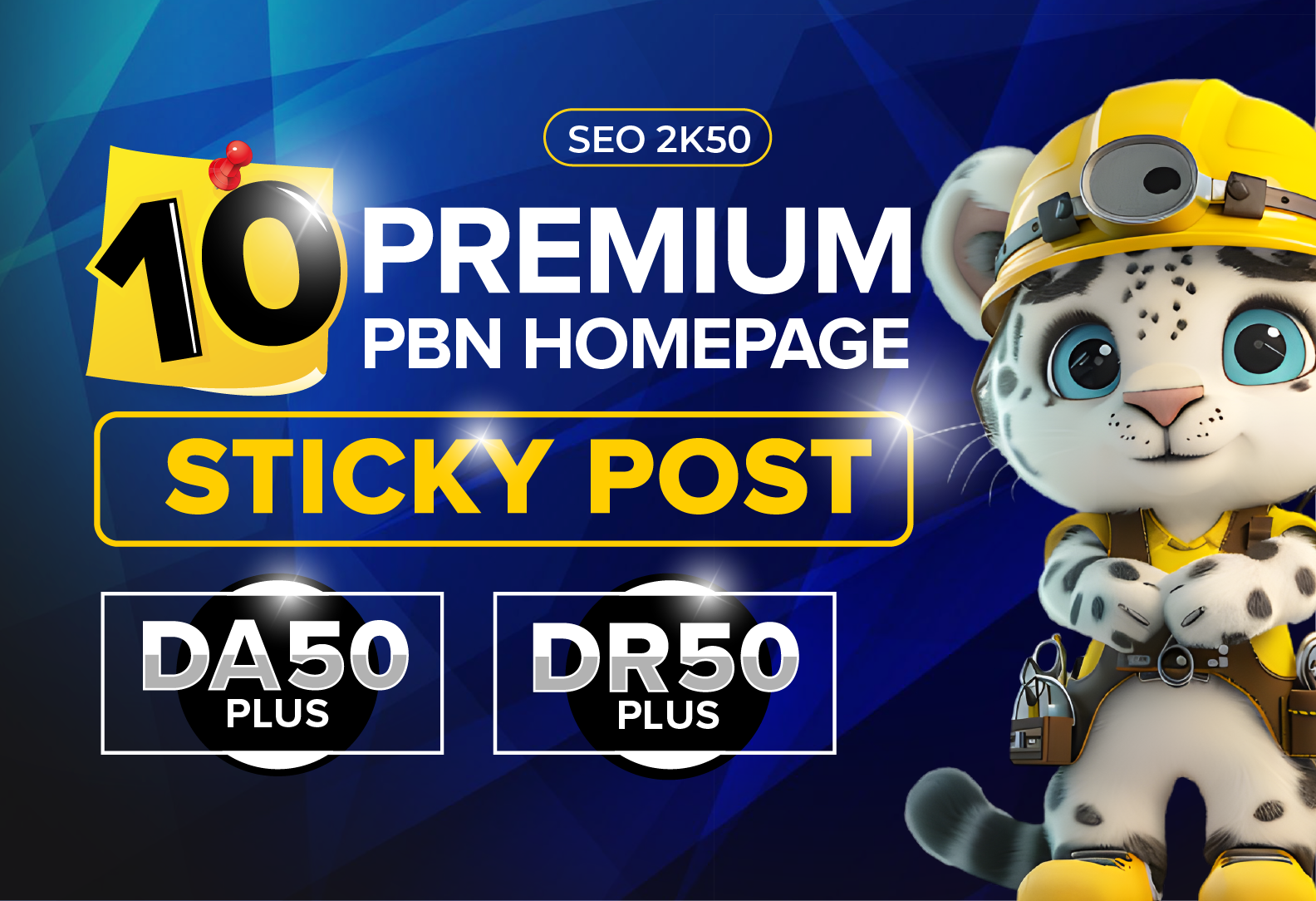 BUILD 10 PBN HOMEPAGE STICKY POST HIGH DR/DA 50 PLUS ...