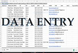 professional and efficient data entry writting work a...