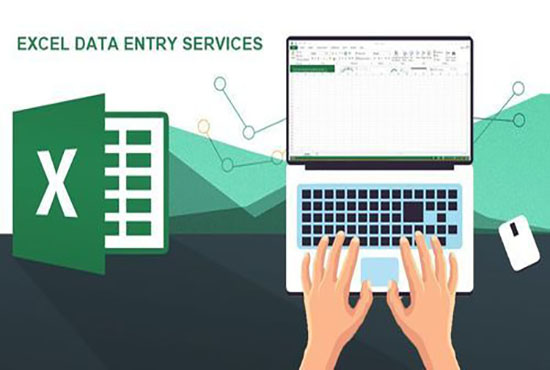 I will do fast excel data entry work for you