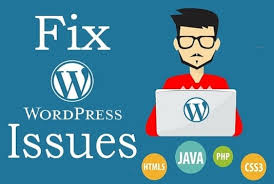 I will fix wordpress website issues or errors in 24 h...