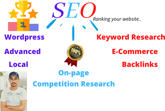 I will rank your website through SEO in a professiona...