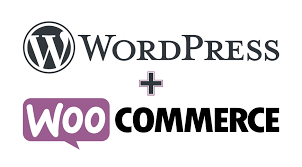 build ecommerce website online store with wordpress w...
