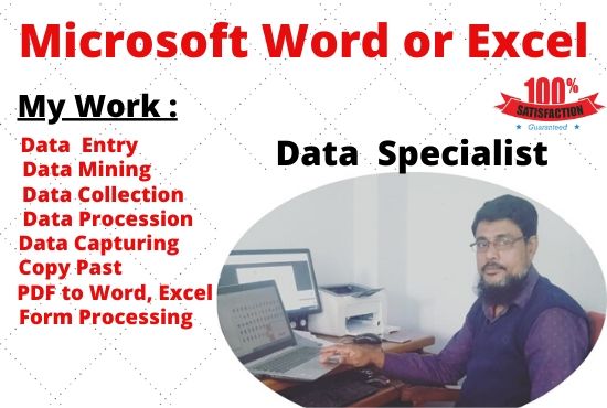 I Will Do Any Kind Of Data Entry, Excel Entry work a...