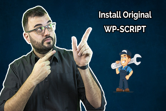 I will install an original wp-script in your wordpres...