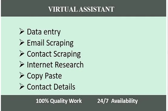 i will do any kind of data entry work, internet searc...