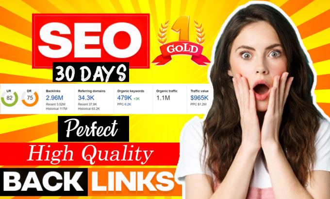 I will provide a perfect monthly SEO dofollow backlin...