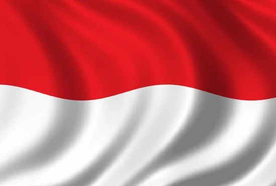 I will translate from english to indonesian - indones...