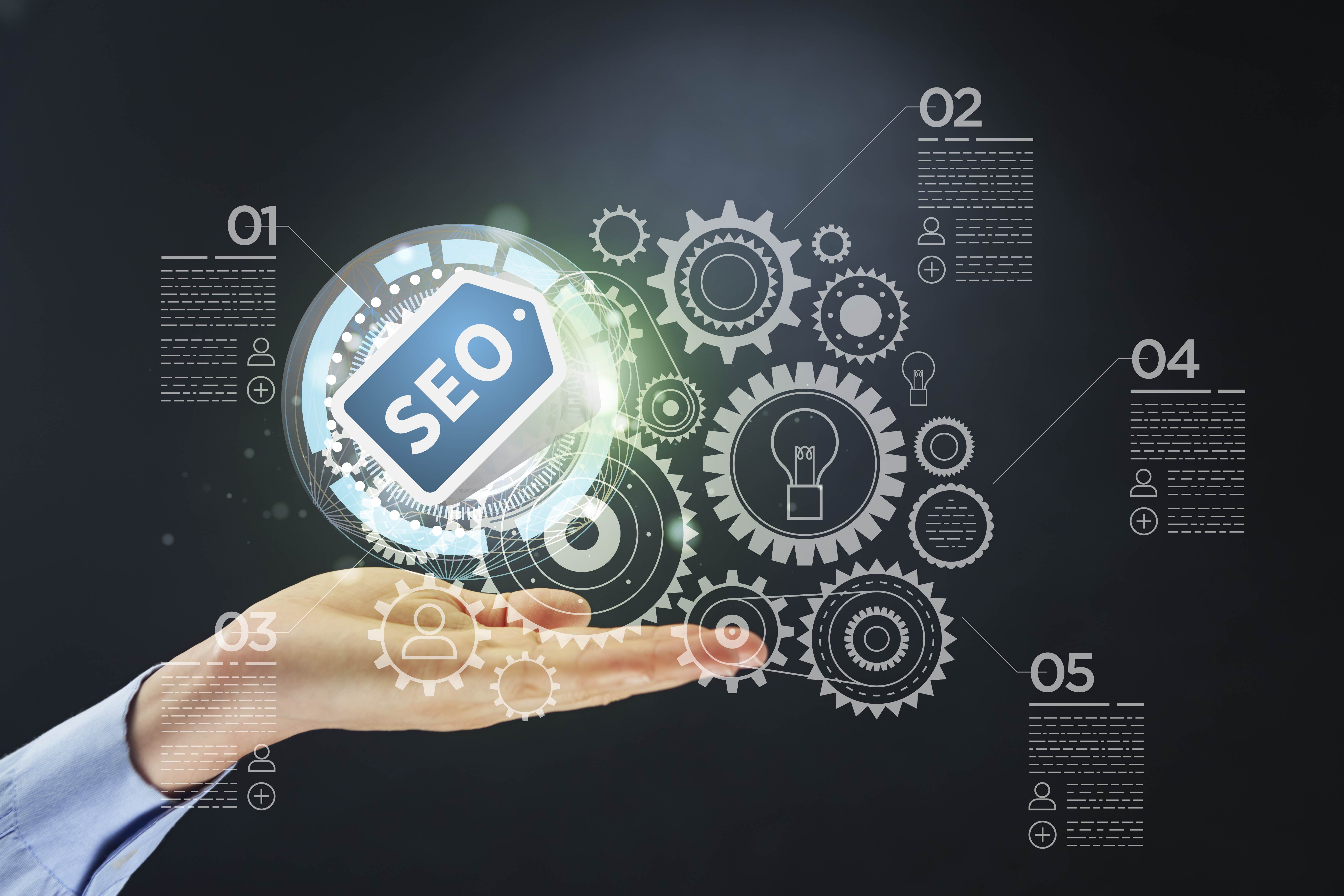 I will do an expert SEO audit on your website/s