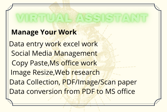 I will provide Virtual assistance perfect data collec...