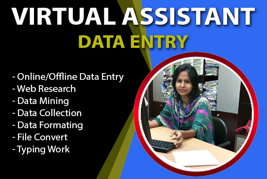 I will be your virtual assistant for data entry or an...