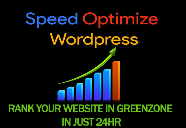 i will speed up wordpress site professionally in 24 h...