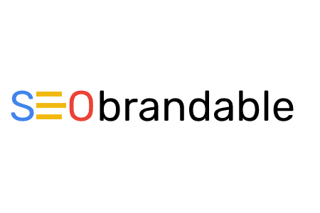 I will provide a professional SEO audit within 3-4 da...
