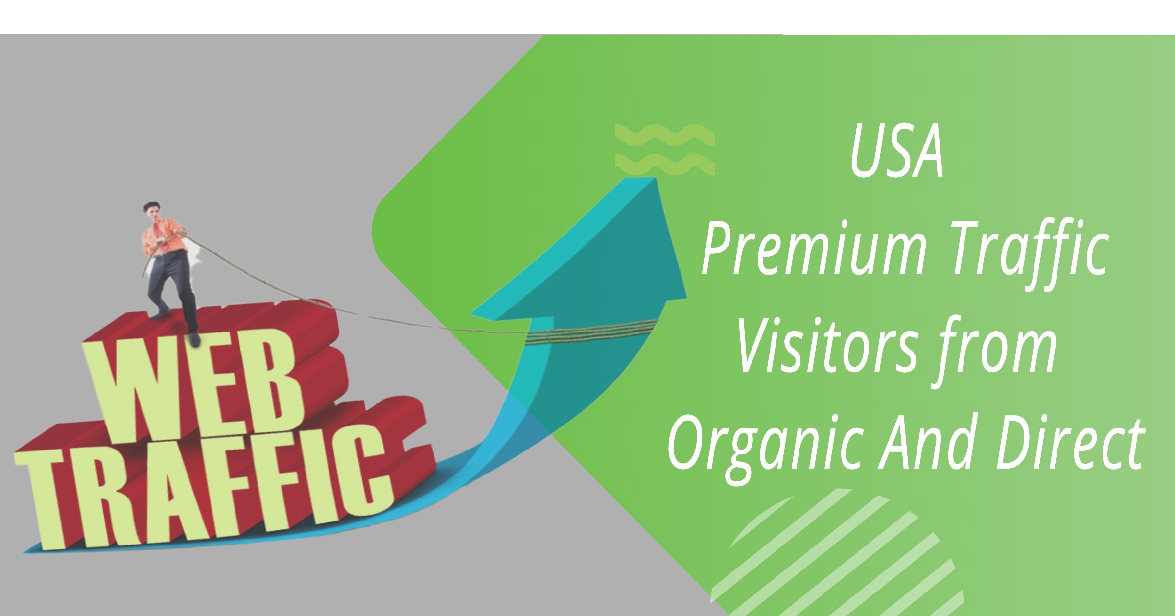2200 USA Premium Traffic Visitors from Organic And Di...