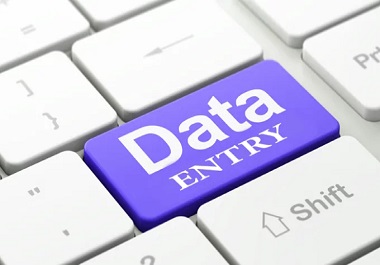 I will do excel work, data entry, copy paste, data ...