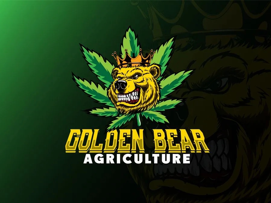 I will do gfx, mascot professional logo design in 12...