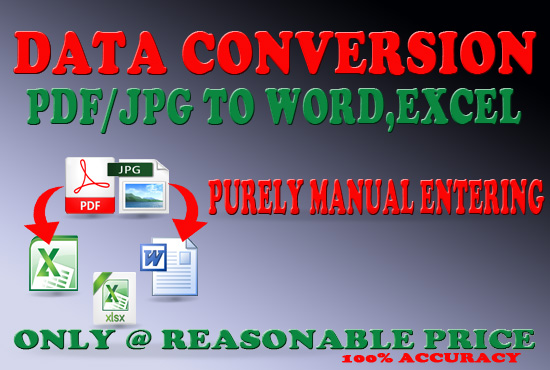 I will do data entry work and PDF/JPEG to editable fo...