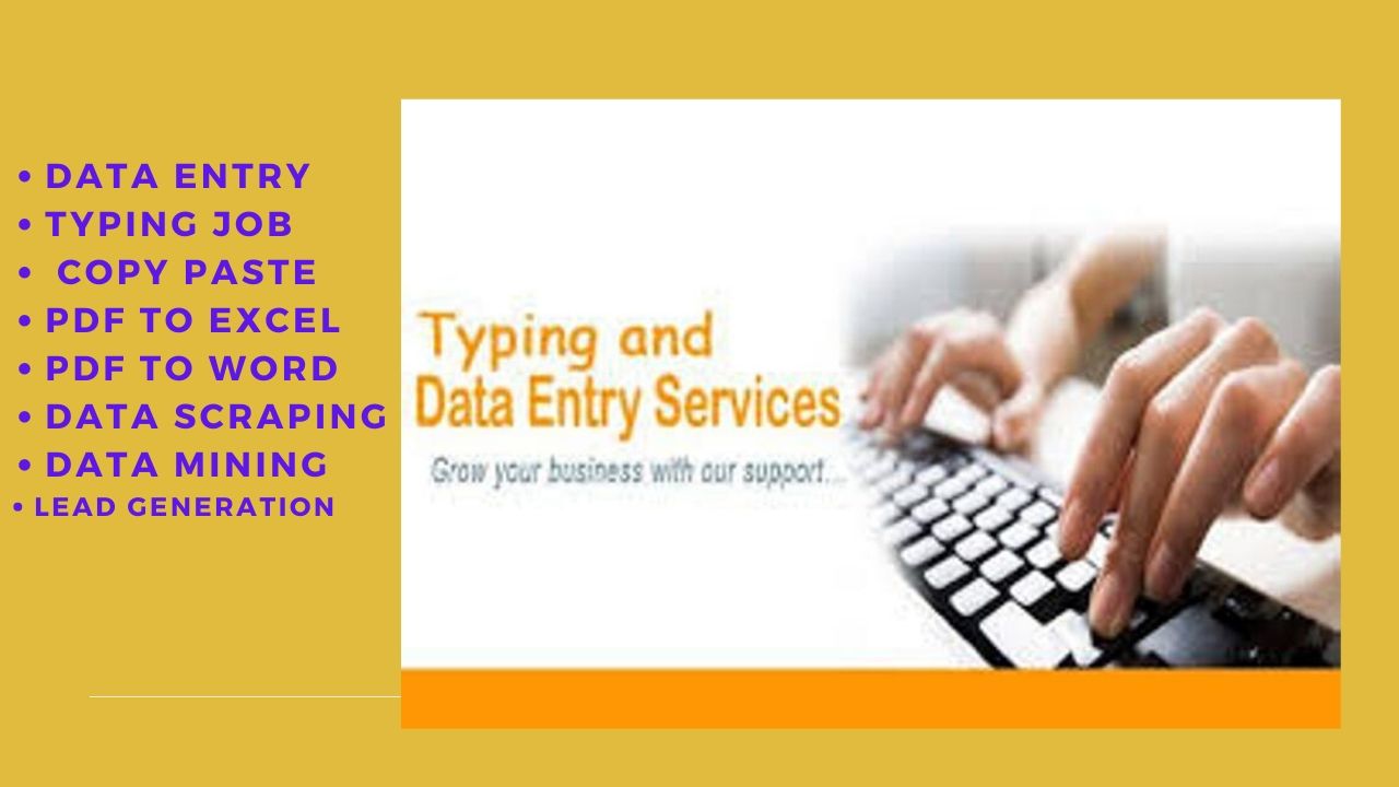 I will do cheapest excel data entry typing work, web...