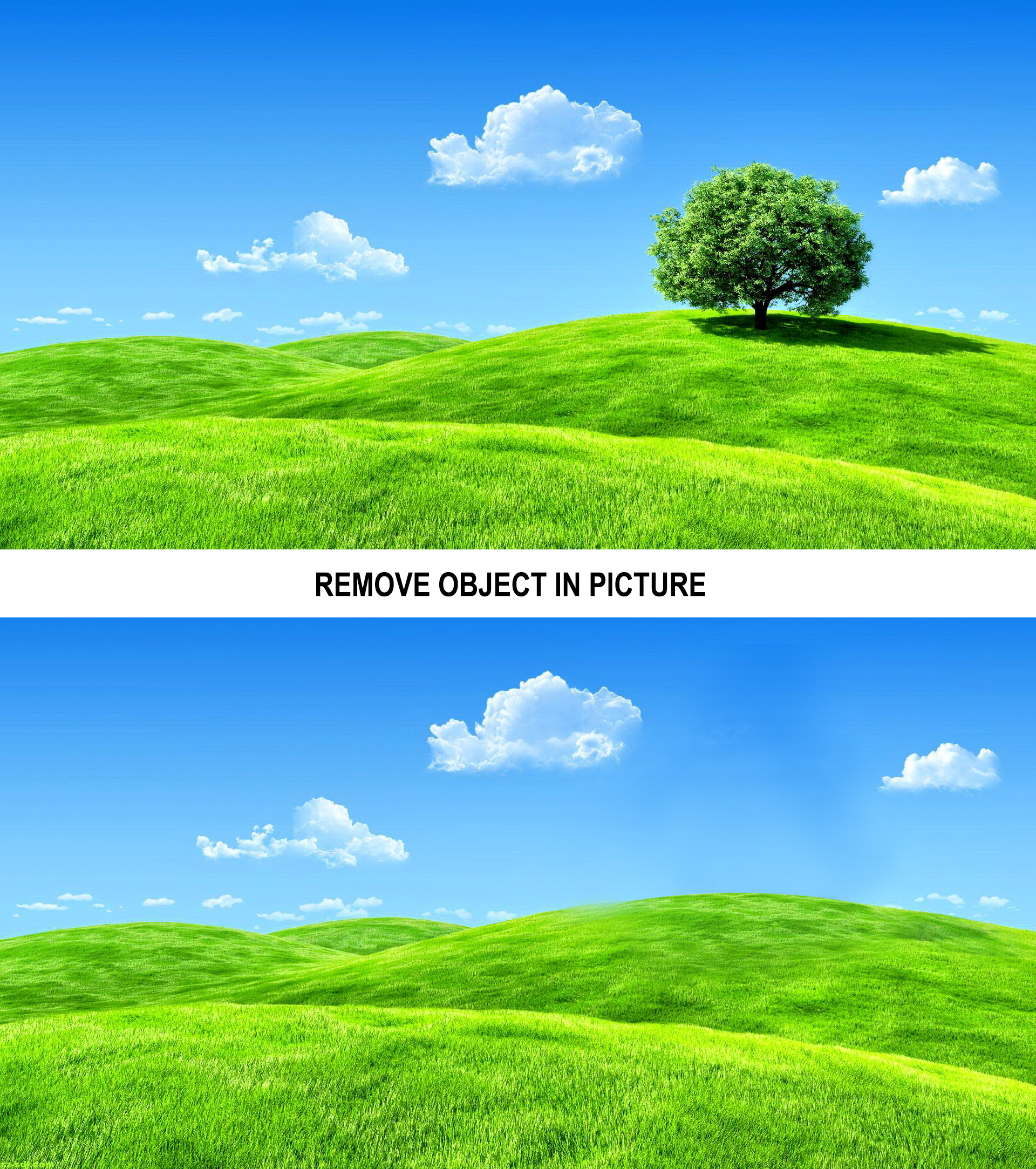 I WIll Remove Object /Edit/Replace Object in 2 Photos...