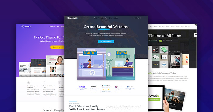 I will Build Your One Page Wordpress Website