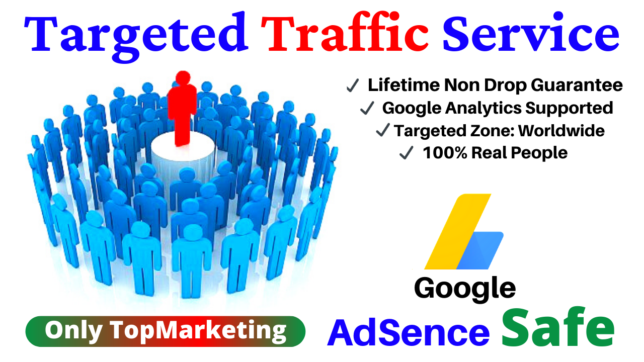40,000 USA Website Traffic, Visitor to Your Web or B...