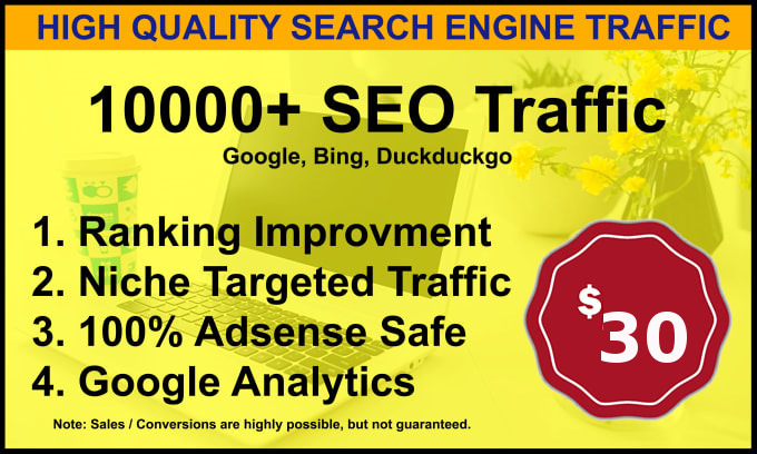 I will send 10,000 Visitors low bounce natural web tr...