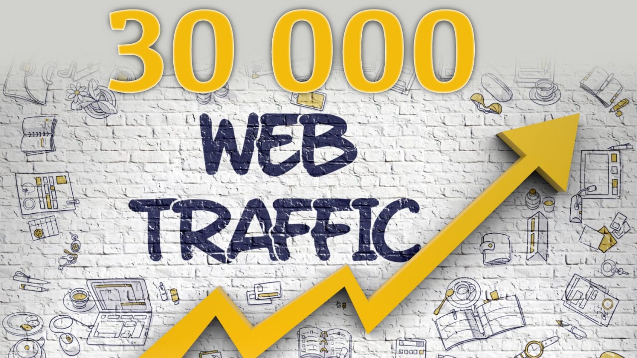 Real organic traffic through search engine 1000+ dail...