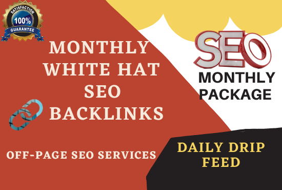 I will elevate your website ranking, monthly SEO Ser...