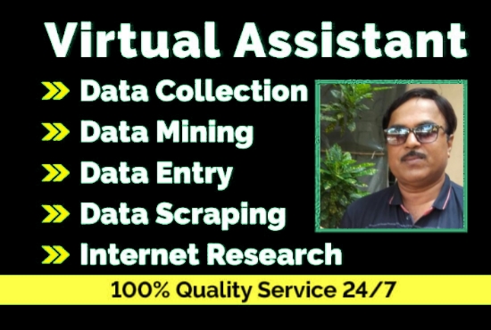 I will do perfect excel data entry, mining, web res...