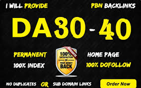 10 Manually build permanent DOFollow DA 30+ PBN high ...