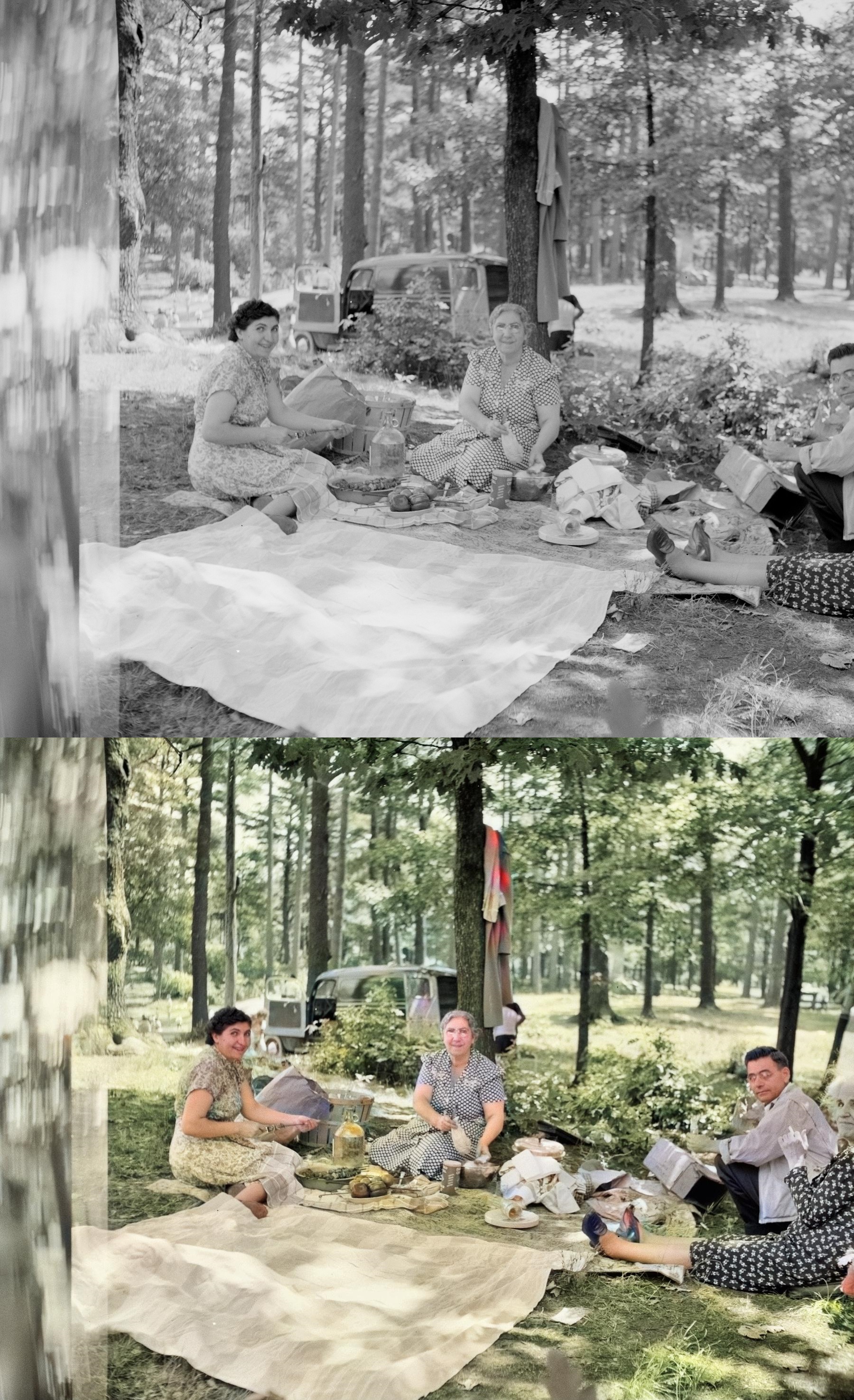 Color Restore, Colorize B& W Photos and Images F...