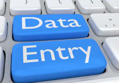 I will do total Data Entry work