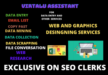 I will provide all kind professional virtual assistan...